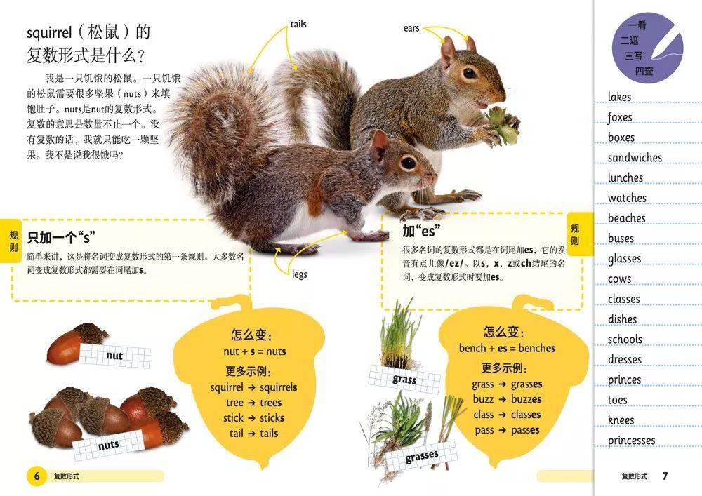 一道旭光分两地鸡啼鼠走四十六是什么生肖的警惕虚假宣传-全面释义、深度解答解释落实