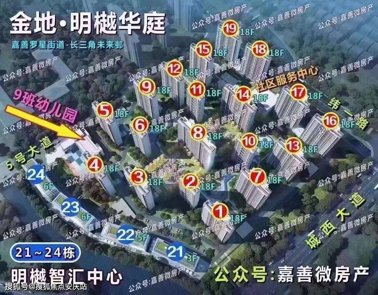 绿波双数找特码,手拿葫芦也是八打一个生肖，详细解答、统计解答解释落实